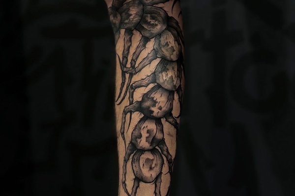 417789372_17944760477758678_2255553067303952221_n