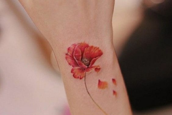 Полевые цветы (11)