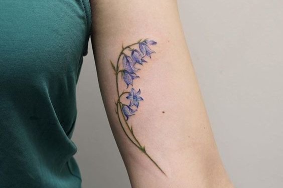 Полевые цветы (12)