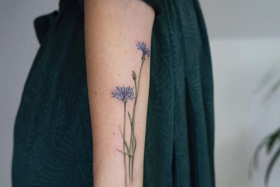 Полевые цветы (24)