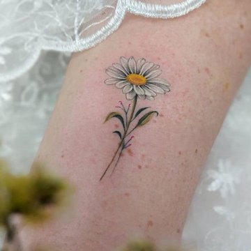 Полевые цветы (25)