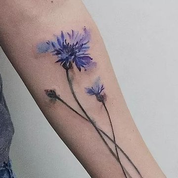 Полевые цветы (26)