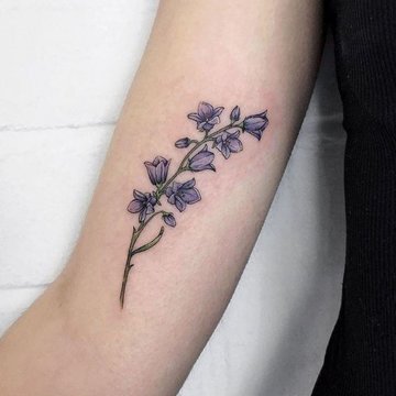 Полевые цветы (27)