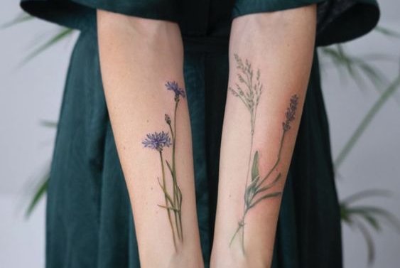 Полевые цветы (3)