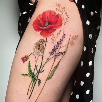 Полевые цветы (7)