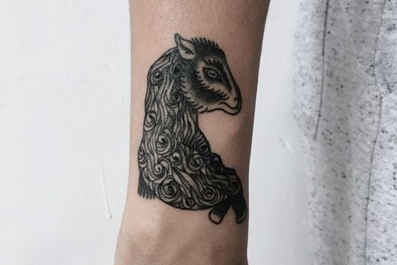 черная овца (1)