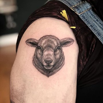 черная овца (20)