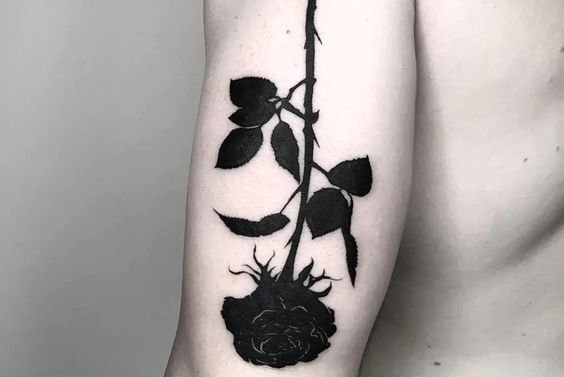 черная роза (18)