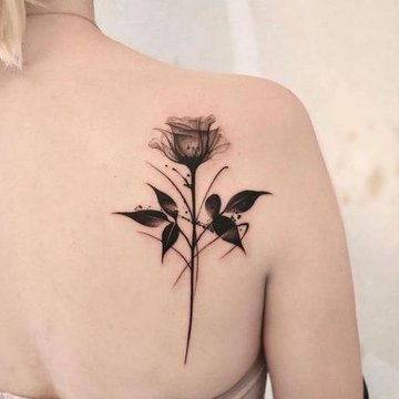 черная роза (19)