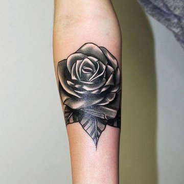 черная роза (21)