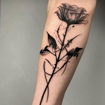 черная роза (3)