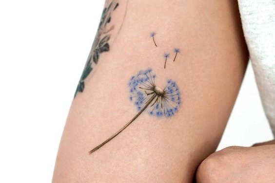 одуванчик (21)