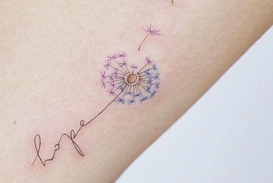 одуванчик (25)