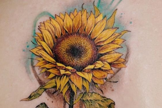 подсолнух (22)