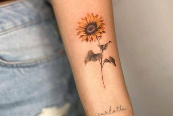 подсолнух (7)